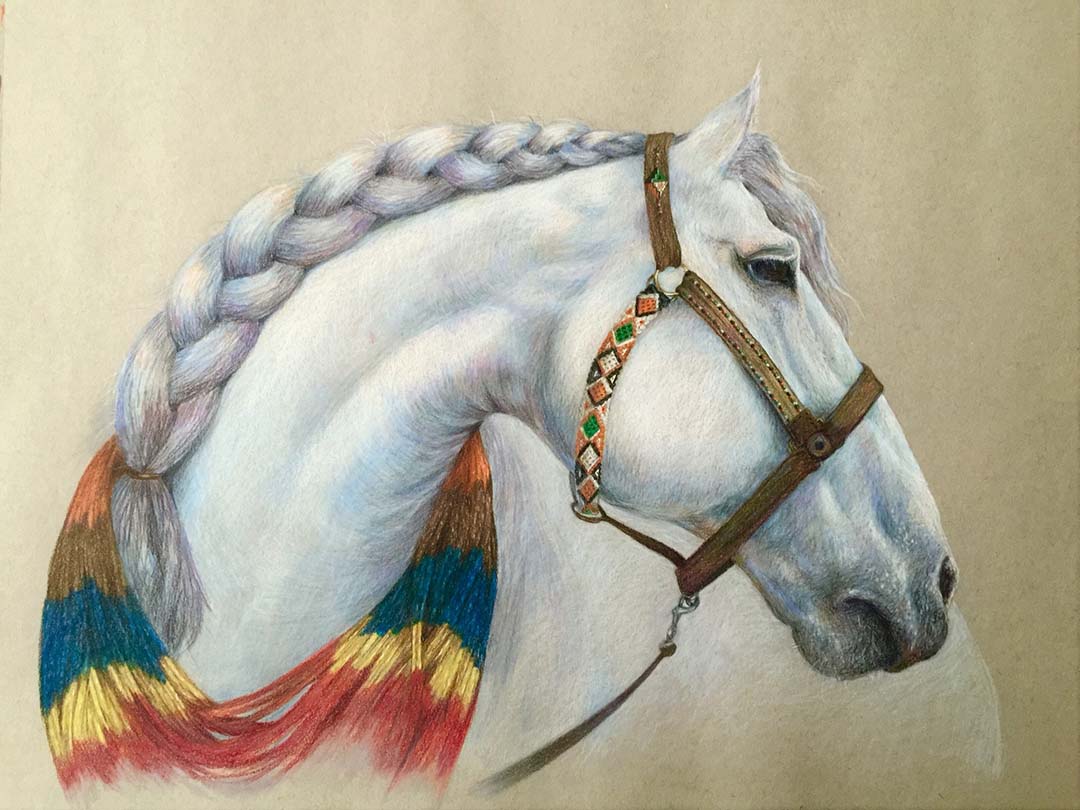 "Akofena", colored pencil on paper, 18 x 24 inches